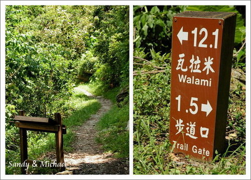 【旅行】花蓮卓溪。瓦拉米步道‧林田山