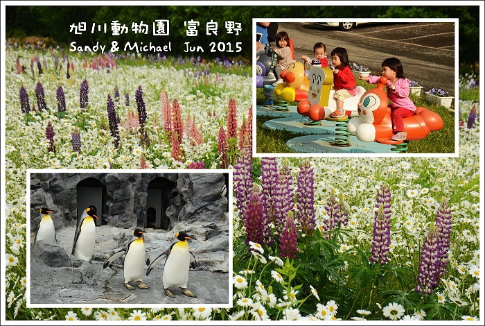 【親子遊】日本北海道親子團 Day 2 旭山動物園－富良野Flower Land農場．富田花園農場．富良野果醬園．麵包超人專賣店．富良野王子飯店