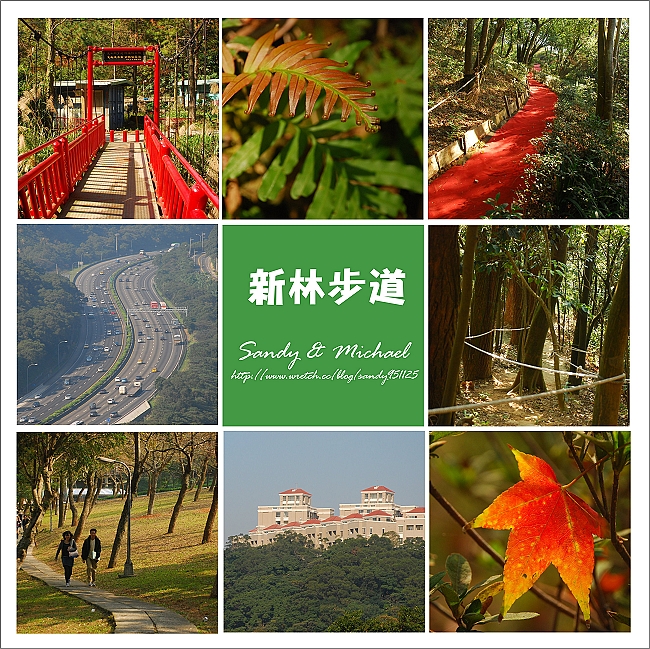 【爬山】台北林口。走上紅地毯‧新林步道