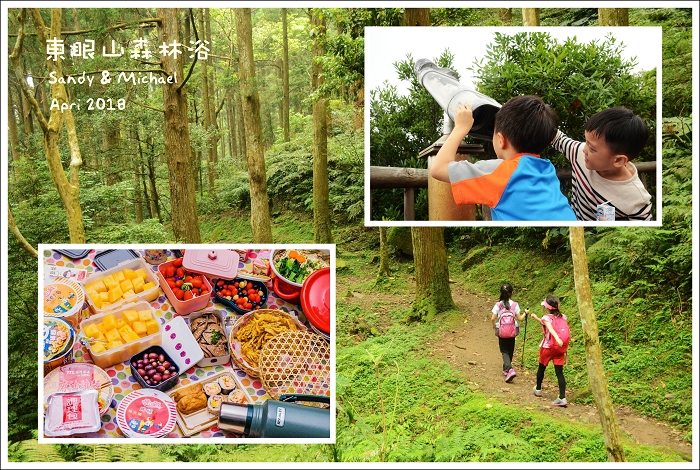 【親子爬山．野餐】桃園復興。東眼山下的森林幽境．漫步杉木林間．泡麵水果餐