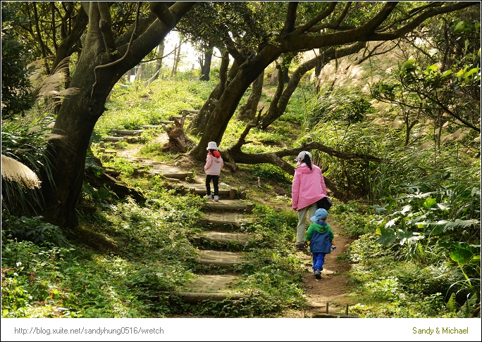 【親子爬山】桃園龜山。小百岳No6  小腳踢上大棟山405高地．森林裡的小秘境