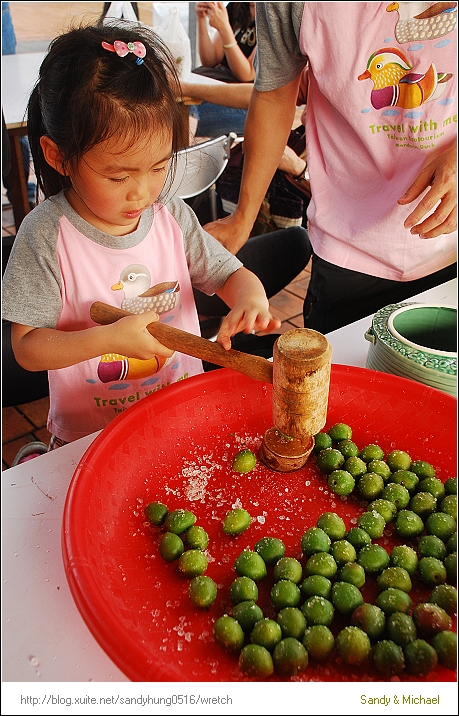 【親子遊．親子活動】新北鶯歌。陶博館醃脆梅DIY