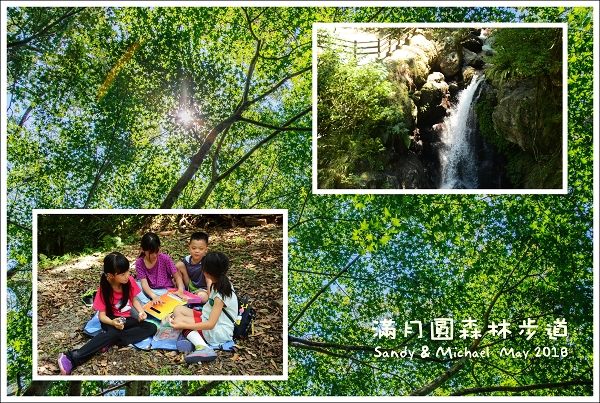 【親子爬山．餐宴】新北三峽。青楓下的滿月圓森林步道．夏日聚會快閃日常