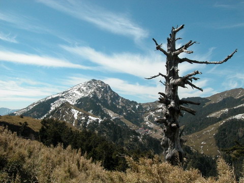 《走過》福壽山 合歡石門山賞雪（2005.03）