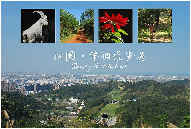 【爬山】桃園蘆竹。羊稠坑森林步道